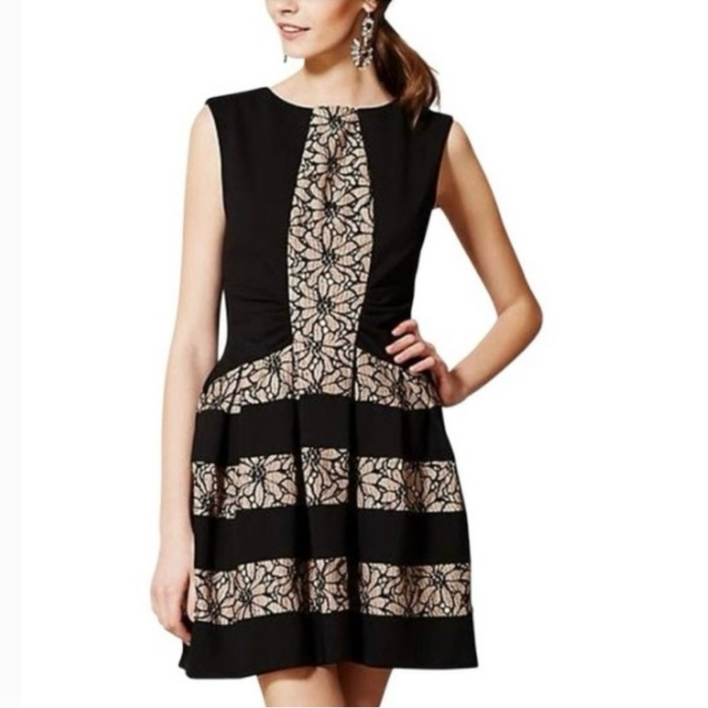 Eva Franco Strata Black Fit & Flare Dress NWT